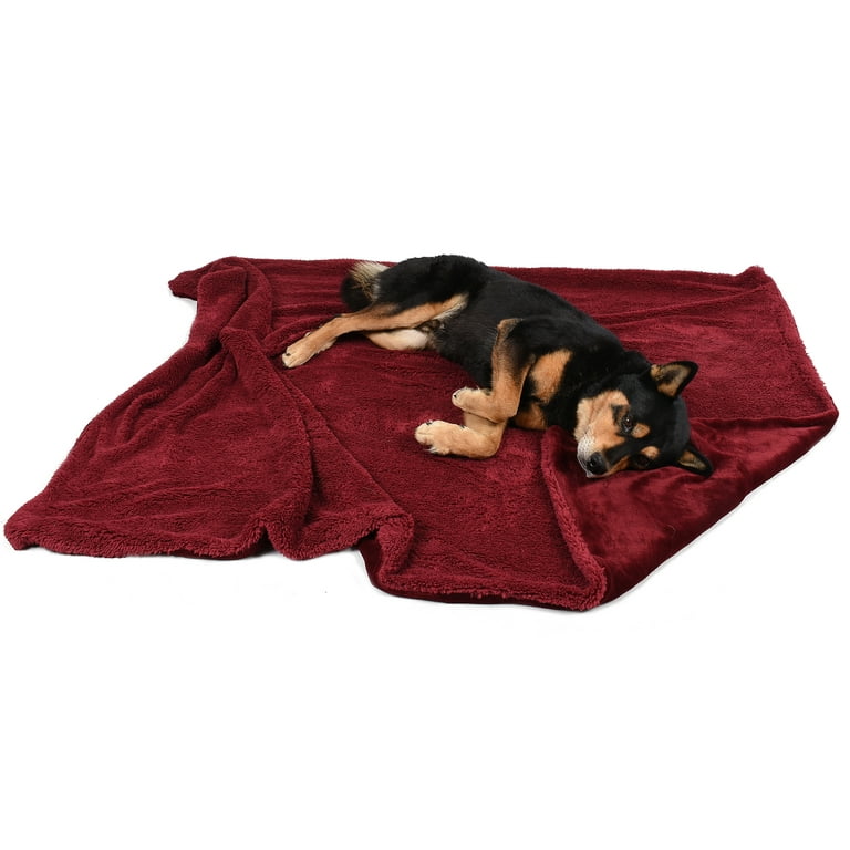 Dogs Red Back No Sew Fleece Blanket Kit #47
