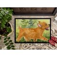 thumbnail image 3 of Carolines Treasures SS8884JMAT 24 x 36 in. Norwich Terrier Doormat, 3 of 4