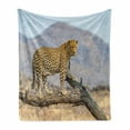 thumbnail image 1 of Leopard Soft Flannel Fleece Throw Blanket, Fierce and Creature Standing on Branch with a Blurred Background, Cozy Plush for Indoor and Outdoor Use, 60" x 80", Multicolor, by Ambesonne, 1 of 6