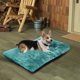 thumbnail image 3 of Xihbxyly Caseta de Invierno para Mascotas, Extraíble y Lavable, Acolchado de Esponja Suave, Base de Tela No Tejida, Acogedora Cama de Interior, Ideal para Perros Pequeños, 50 X 40 Cm., 3 of 4