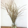 thumbnail image 1 of Living Table Vase Decor - Live and Growing Willow Branch Tips - No Vase Included - They Grow in Water for Weeks - Table Decor, Wedding Decor (50 Branch Tips), 1 of 3