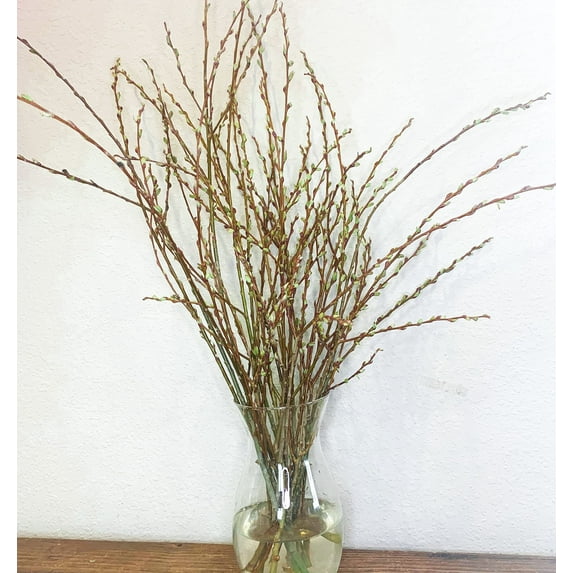 Living Table Vase Decor - Live and Growing Willow Branch Tips - No Vase Included - They Grow in Water for Weeks - Table Decor, Wedding Decor (50 Branch Tips)
