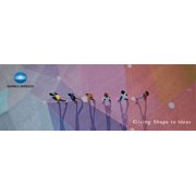 Konica Minolta Genuine TNP-22 Complete Toner Set (A0X5132 / TNP22K, A0X5432 / TNP22C, A0X5332 / TNP22M) For Bizhub C35, C35P