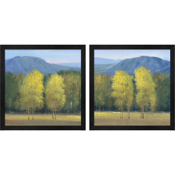 Great Art Now Shaft of Light by Timothy O'Toole, 2 Piece Framed Art Set Each 13"W x 13"H