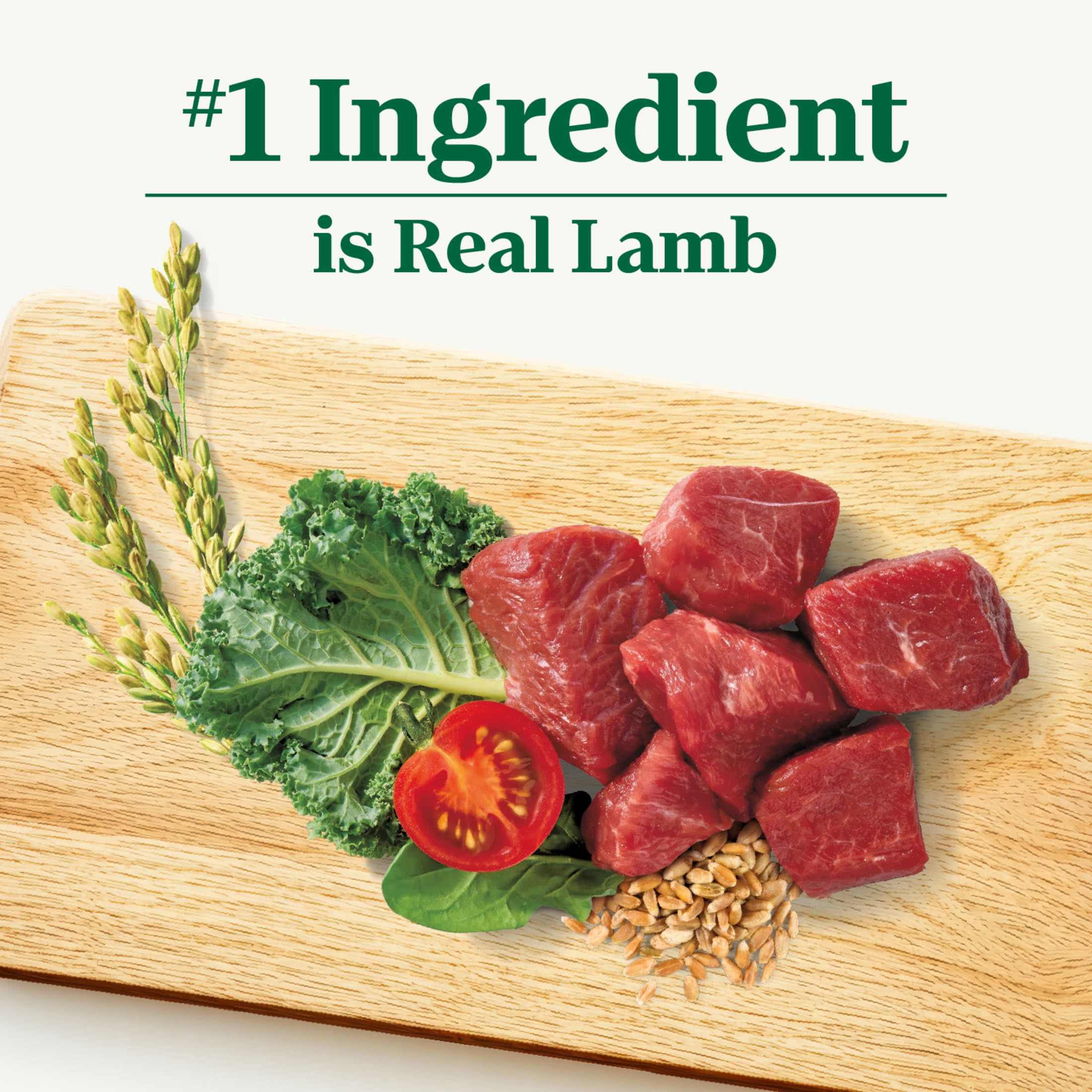 Nutro Natural Choice Adult Small Bites Dog Food Recipe Lamb & Brown Rice, 5 Lb Bag