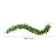 thumbnail image 3 of Guirnalda artificial Norfolk con luces LED integradas | Guirnalda de ratán verde de plástico de 1,8 m para invierno, ideal para decoración de interiores y exteriores | Decoración para repisas, p, 3 of 5