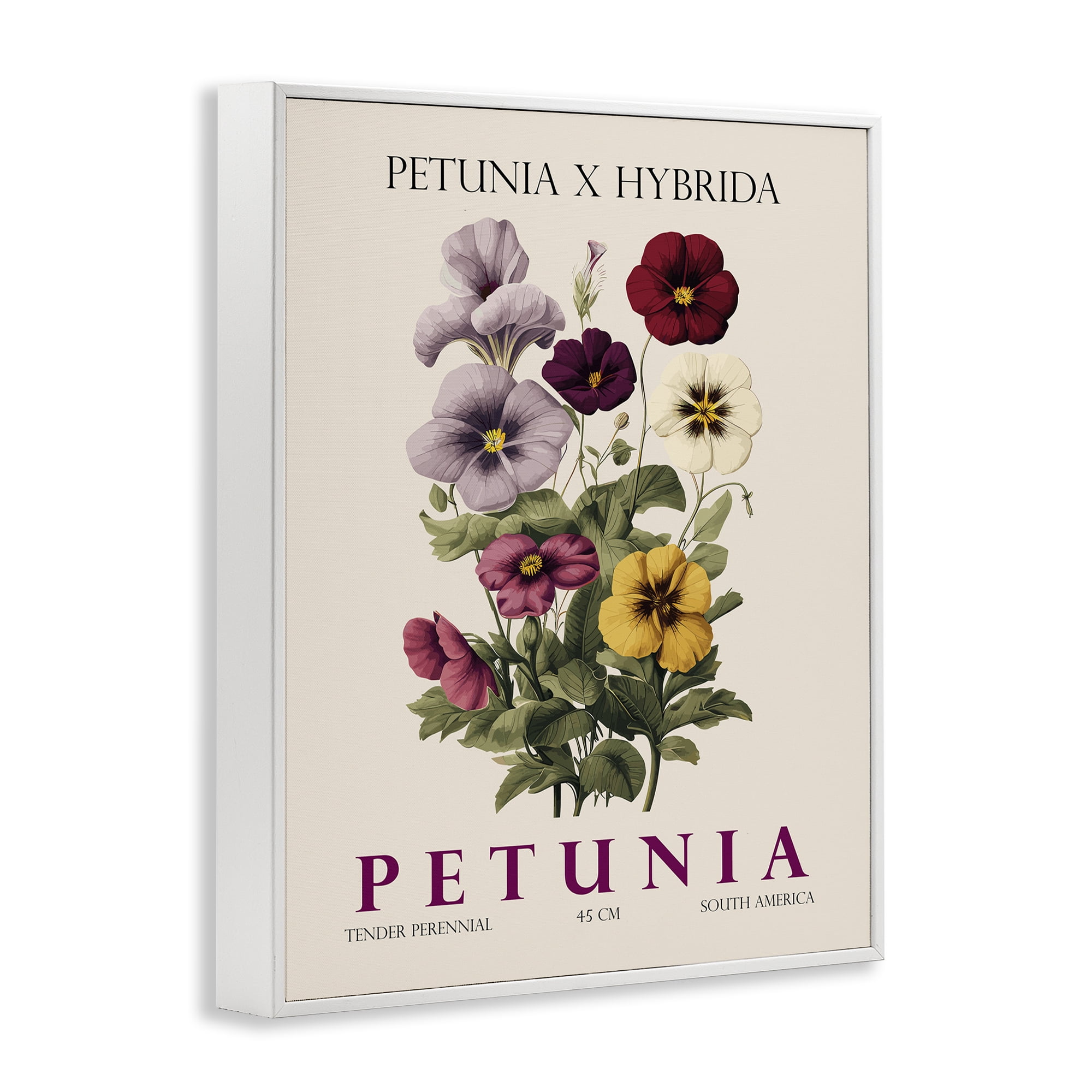 Stupell Industries Natural Petunia Bundle White Framed Giclee Art, design by Christopher Giampietro