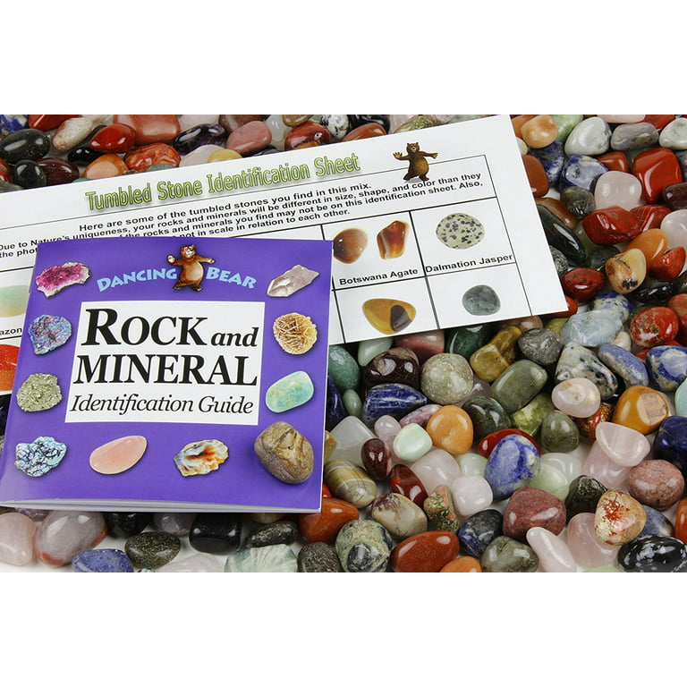 3 lbs Large Tumbled Polished Natural Gem Stones with Educational Rock  Information and Identification Cards - avg 1.25