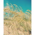 thumbnail image 2 of Soffia, Myan 26x32 Black Ornate Wood Framed with Double Matting Museum Art Print Titled - Sea Oats, 2 of 4