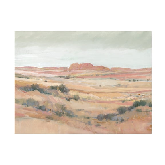 Tim O'Toole 'Southwest Landscape II' Canvas Art