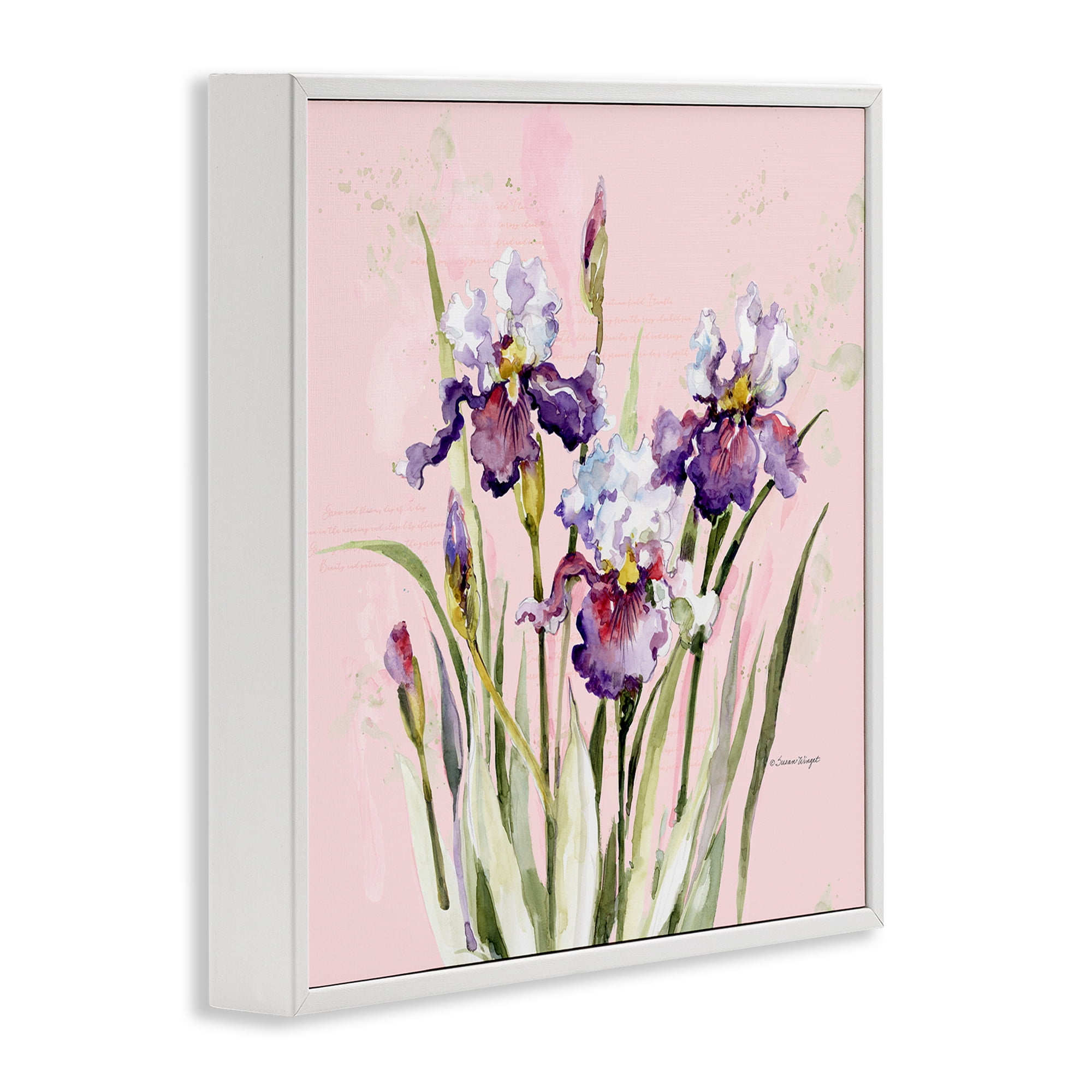 Stupell Industries Purple Irises on Pink White Framed Giclee Art, design by Susan Winget