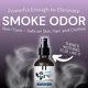 thumbnail image 4 of Smoke Odor Eliminator Spray - Completely Remove Smoke Smell From House, Car, Clothes, Hands, Hair, & More - Best Odor Eliminator For Smoke - Sky Blue Fragrance - 2 16 oz Bottles, 4 of 5