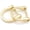 Gold, variant on Brushed Brass 1" D-Rings with Screw Shackle (4 Pack) – Horseshoe Dee Ring for Purse Strap, Key Holder & DIY Leather Craft