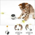 thumbnail image 3 of Shisuyan Pet Swing Car Abs 1Set 2.2X2.5X9.4In, 3 of 9
