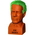 thumbnail image 1 of Joe Biden Chia Pet Decorative Planter, 1 of 2
