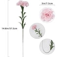 thumbnail image 4 of 16PCS Pink Carnations Artificial Flowers 14.8'' Fake Carnation Silk Flowers with Single Stem Faux Carnations Flowers for Home Table Centerpiece Wedding Decor Floral Arrangements (Light Pink), 4 of 14