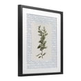 thumbnail image 2 of Stupell Industries Transitional Fresh Herb on Geometric Black Framed Print Under Glass, 17 x 21, by Diannart, 2 of 8