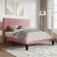 thumbnail image 3 of SHA CERLIN Pink Queen Size Upholstered Platform Bed Frame with Adjustable Velvet Channel Headboard, 3 of 9
