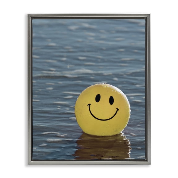 Stupell Industries Eclectic Smiley Beach Ball Gray Floating Frame Canvas Art, 17 x 21, by Lil' Rue