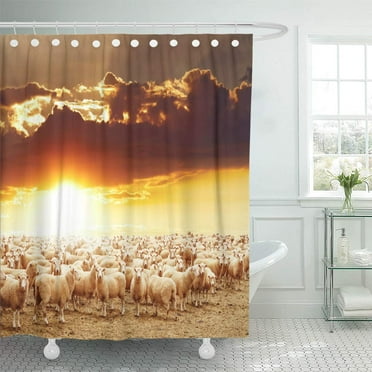 CYNLON Breed Colorful Agriculture Livestock Farm Flock of Sheep Bathroom Decor Bath Shower Curtain 60x72 inch