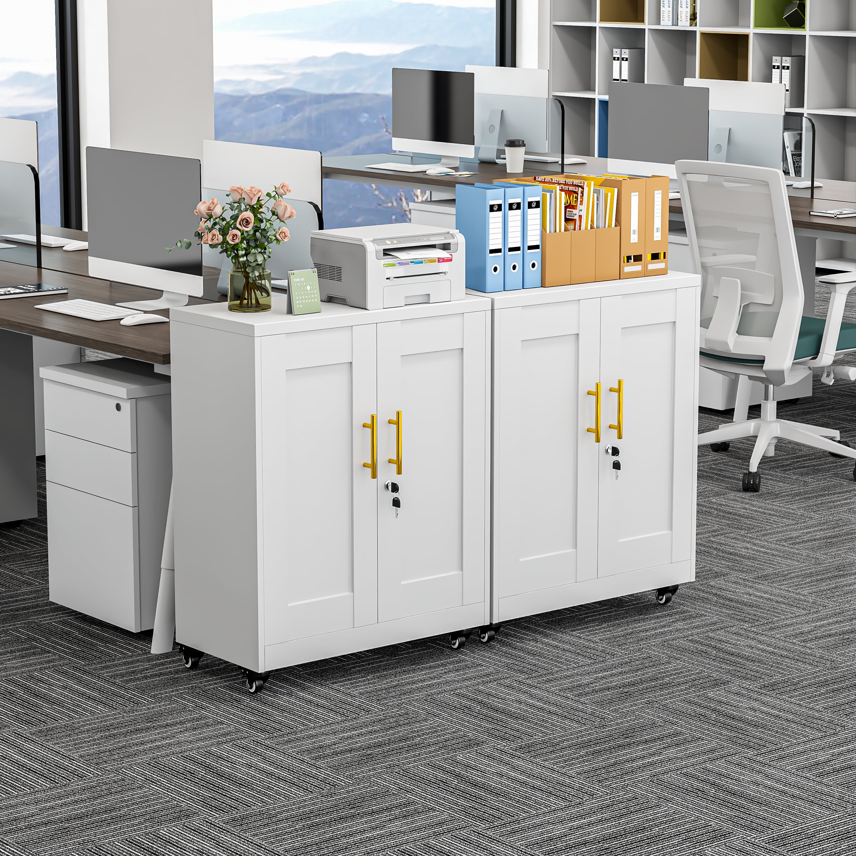 Erosoei Modern Metal Accent Storage Cabinet with Doors and 2 Adjustable Shelves
