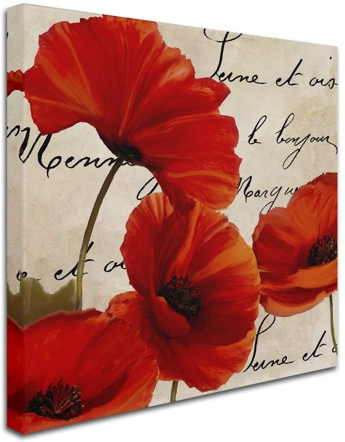 Trademark Fine Art "Coquelicots Rouge I" Canvas Art by Color Bakery