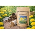 thumbnail image 2 of 4000+ Dandelion Seeds for Planting – Heirloom Non-GMO Taraxacum Officinale Seeds, Easy Grow Wildflower Lawn & Garden, Outdoor Yard Pollinator Friendly, loseedsoo, 2 of 5
