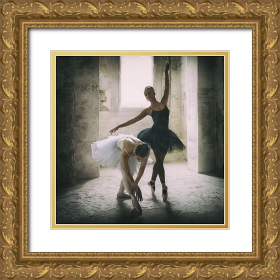 Schleicher-Schwarz, Roswitha 20x20 Gold Ornate Wood Framed with Double Matting Museum Art Print Titled - the subtle bow