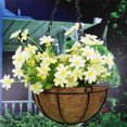 thumbnail image 3 of Windcarnival 2Pcs Flower Pot Liner Decorative Water-filtered Pastoral Promote Growth Hanging Pot Liner Gardening Tools, 3 of 8