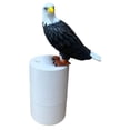 thumbnail image 2 of Dispensador de jabón en espuma Bald Eagle, accesorio de baño de 300 ml, multifuncional, práctico y de calidad, sin contacto., 2 of 7