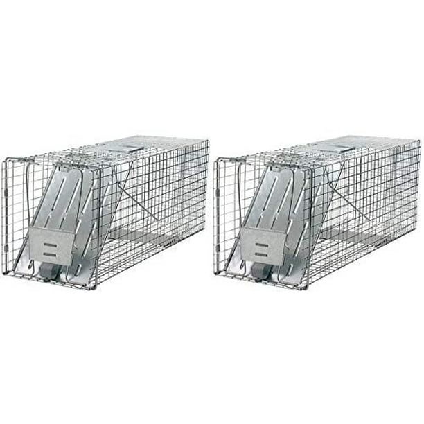 Best Bait Groundhogs