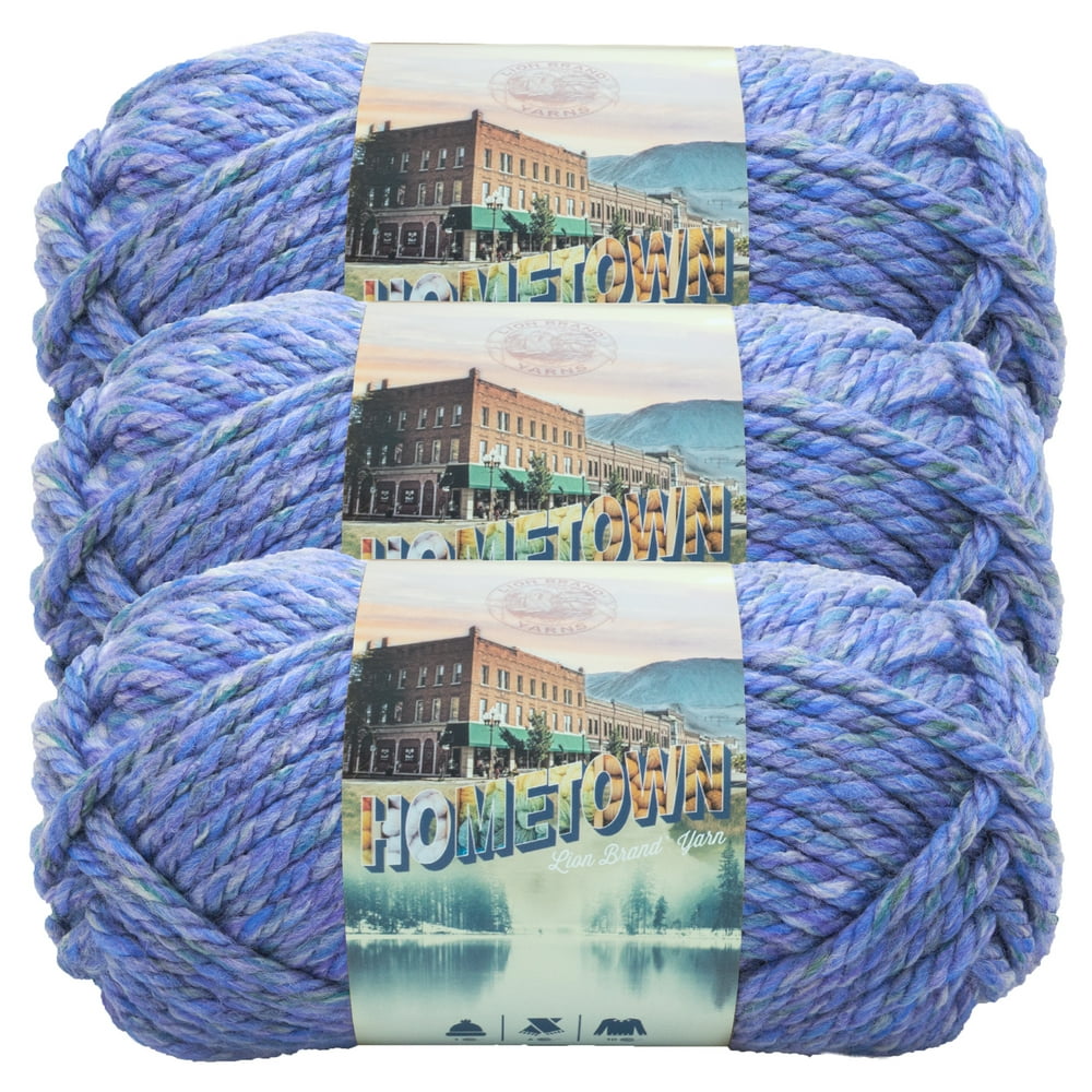 Lion Brand Yarn Hometown Jersey Gardens Basic Super Bulky Acrylic Multicolor Yarn 3 Pack