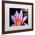 thumbnail image 2 of Trademark Fine Art "Pink Water Lily" Canvas Art by Kurt Shaffer, White Matte, Wood Frame, 2 of 4