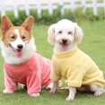 thumbnail image 1 of 2 ropa divertida de dibujos animados para mascotas Teddy Sherry Than Bear Corki ropa para perros pequeños y medianos en invierno perros alrededor de 3-5 Catties, 1 of 5