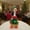 Multicolor35, variant on Iumwxz Porch Goose Outfits Goose Porch Christmas Dog Costume Set Sizes 21in & 27.1in Holiday Pet Outfits with Hook-and-Loop Straps for Small Medium Dogs Outdoor Decor