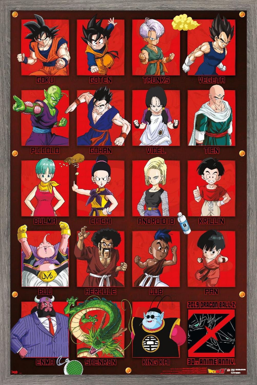 Dragon Ball Z - Anniversaire