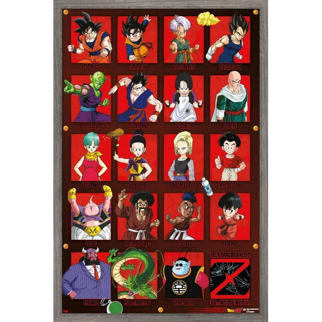 Dragon Ball Z - Anniversaire