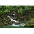 thumbnail image 2 of Flaherty, Dennis 14x11 Gold Ornate Wood Framed with Double Matting Museum Art Print Titled - Hawaii, Kauai Creek flowing from a rainforest, 2 of 4