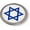 Semi-Flexible Aluminum Bezel, variant on Star of David 3D Domed Round Automotive Emblem