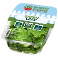 thumbnail image 2 of Backyard Farms Green Leaf Pre-Washed Lettuce, 8 oz Resealable Package, Fresh, 2 of 4