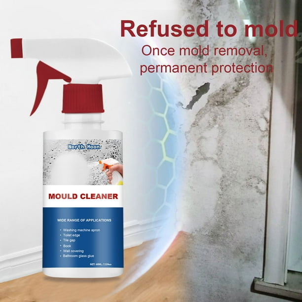 Mold remover 2024 for drywall