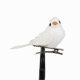 thumbnail image 5 of Adorable Bird Shaped Hair Clips for Girls and Women Foam Material Safe and Non Toxic 12 Pcs, 5 of 5