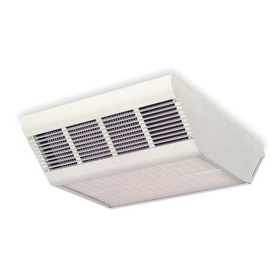 Dayton Downflow Ceiling Mounted Heater,17100BTU 2YU35