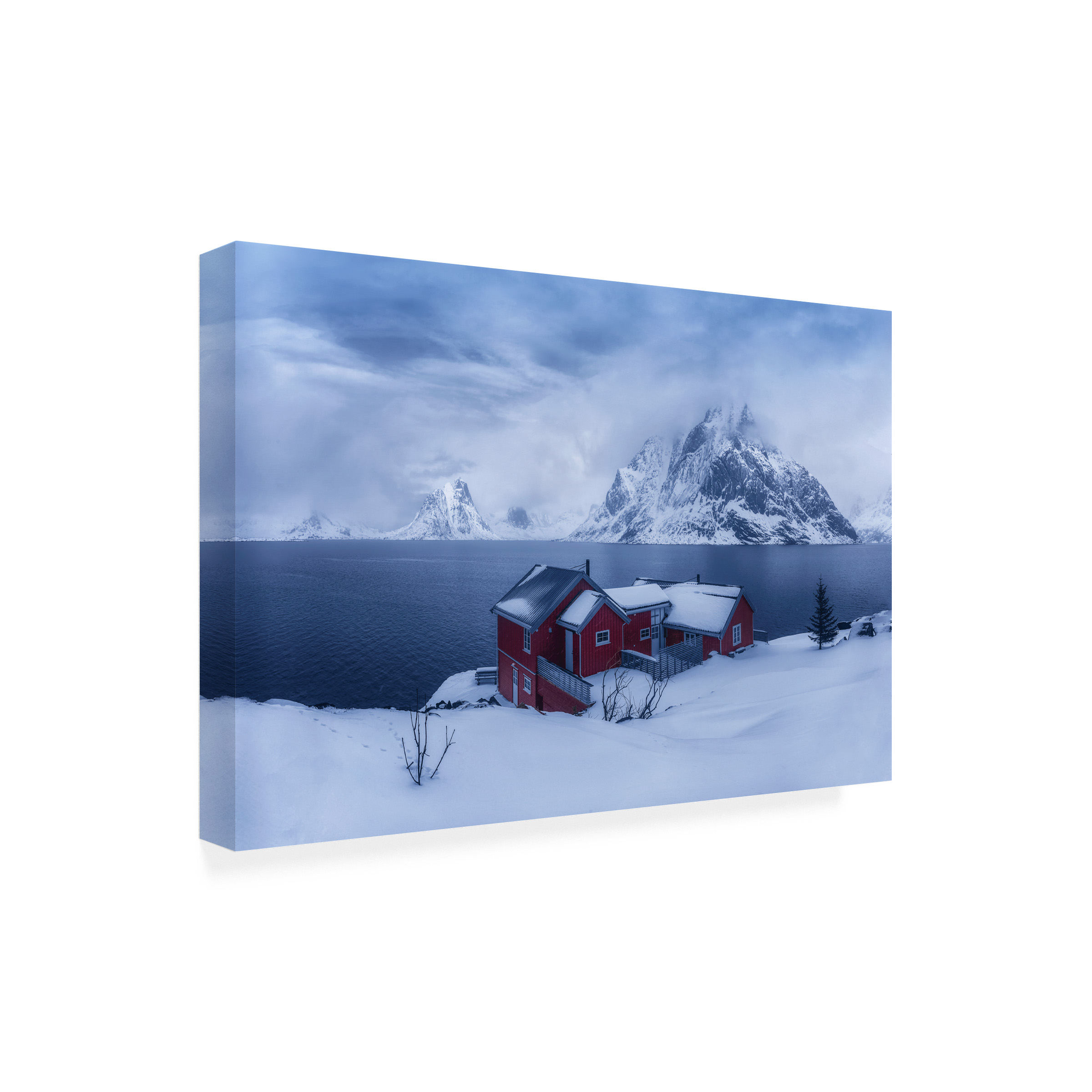 Mei Xu 'Winter Fairyland' Canvas Art