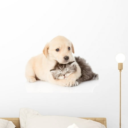 Just Golden Puppies Golden Retriever Puppy Dog Wall Mural by Wallmonkeys Peel and Stick Graphic (18 in W x 13 in H) WM155484 ()