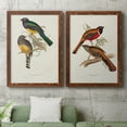 thumbnail image 5 of Elegant Trogons III - Premium Framed Canvas 2 Piece Set - Ready to Hang, 5 of 7