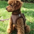 thumbnail image 3 of Pet Vest Harness And Leash Set Reflective Windproof Corduroy Adjustable Chest Strap Breathable Mesh Harnesses For Dogs ShopWise Round, 3 of 10