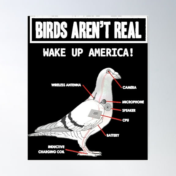 Birds Aren&X27;T Real Make Up America Poster Wall Art, Modern Wall Decor For Living Room Bedroom, 8x12 UNFRAMED