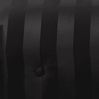 Black Stripe