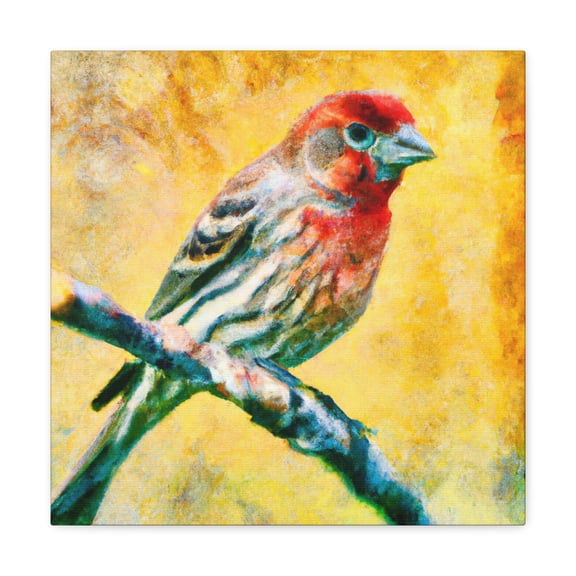 House Finch Splendor - Canvas